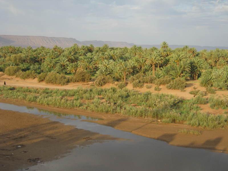 Zaouia de Sidi el Mokhtar Ben Ali Auberge Toda Kasbah Tinfou מראה חיצוני תמונה